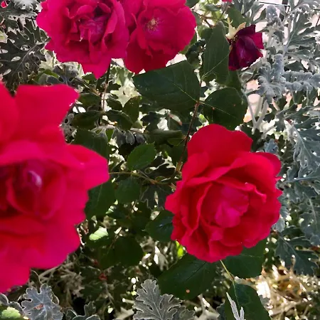 Casale Fonte Delle Pietre *