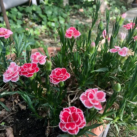 Casale Fonte Delle Pietre