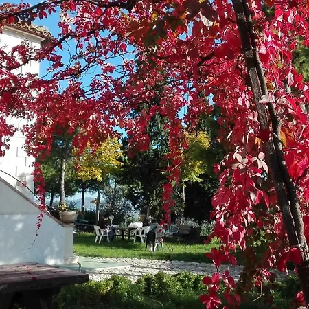 Casale Fonte Delle Pietre 奥菲达