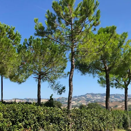 Casale Fonte Delle Pietre 奥菲达