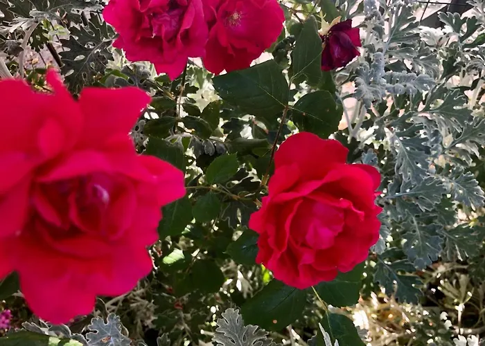 Casale Fonte Delle Pietre *