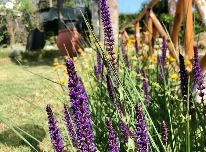 Σπίτι διακοπών Casale Fonte Delle Pietre Offida