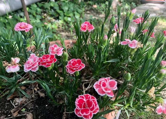 Casale Fonte Delle Pietre