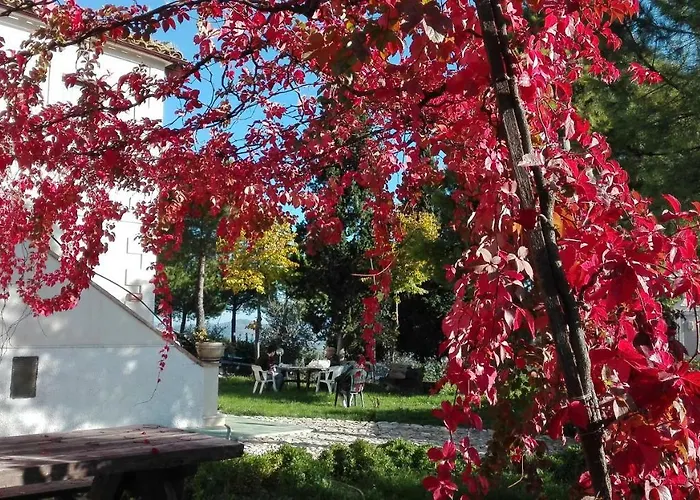 Casale Fonte Delle Pietre Offida