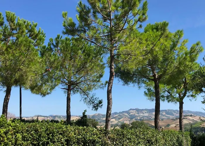 Casale Fonte Delle Pietre Offida